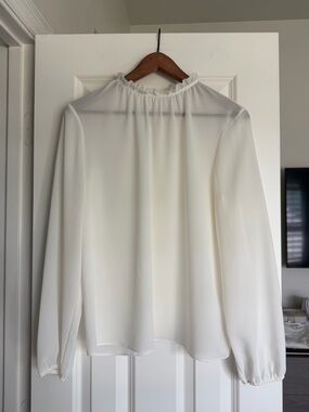 Aritzia Babaton Long-Sleeve Sheer Blouse